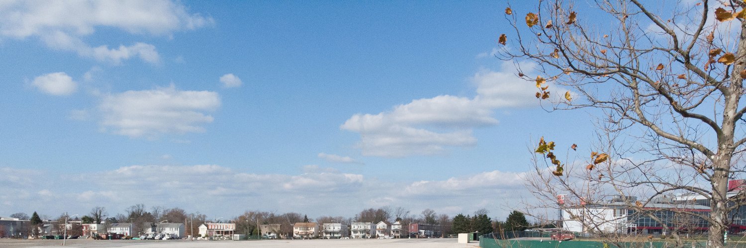 Sandy Rosenberg banner