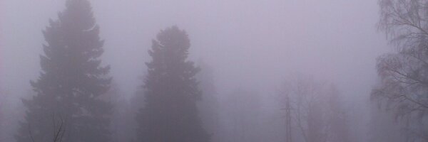 sampon_ Profile Banner