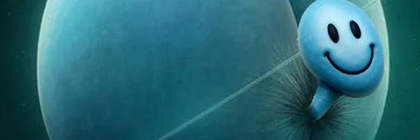 gordo_cripto Profile Banner