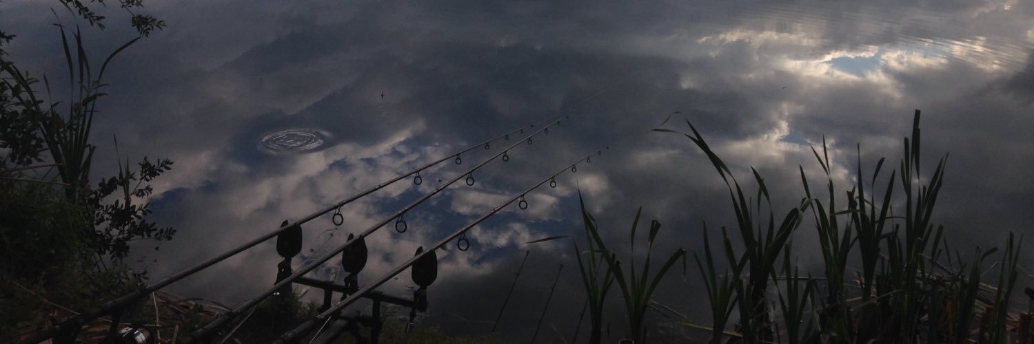 carpingmad1's profile banner image