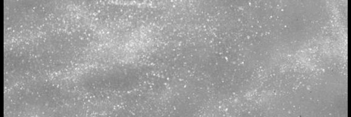 anirbasw's profile banner image