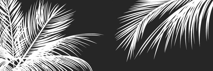 MMatsberg's profile banner image