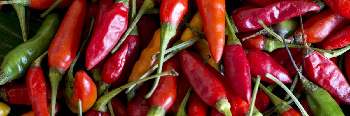 Slow Food en France banner