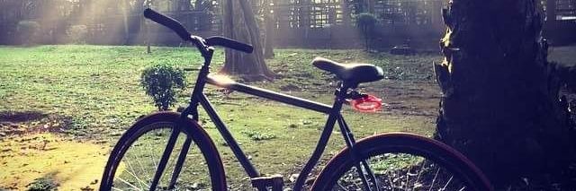 boweemh's profile banner image