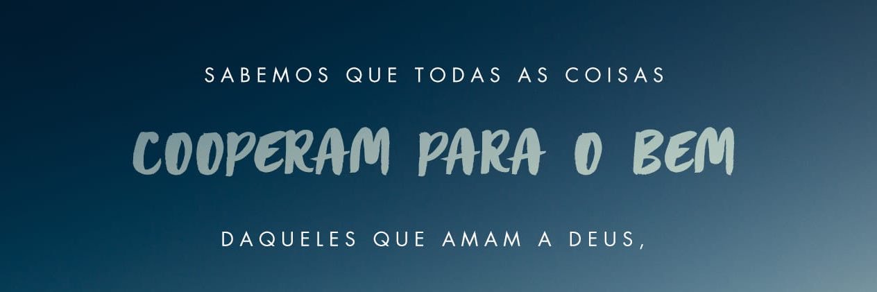 drbrunomelo's profile banner image