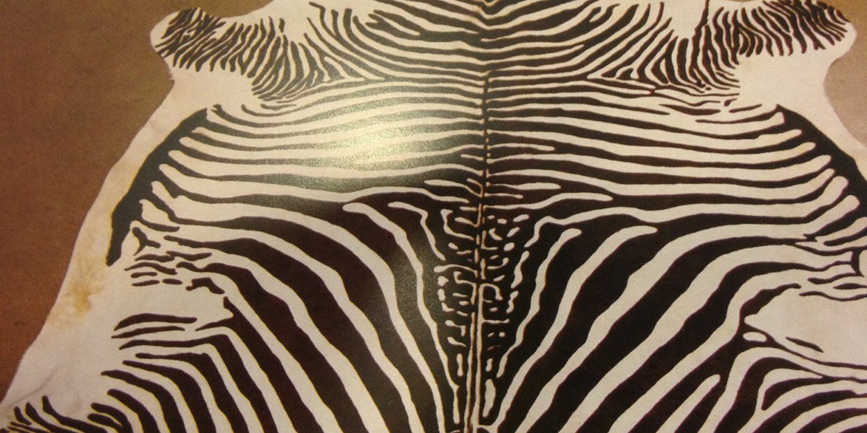 CurtidosRossini's profile banner image