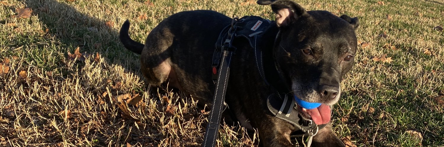 aaron ✊🏼🇺🇦 #🟦 banner