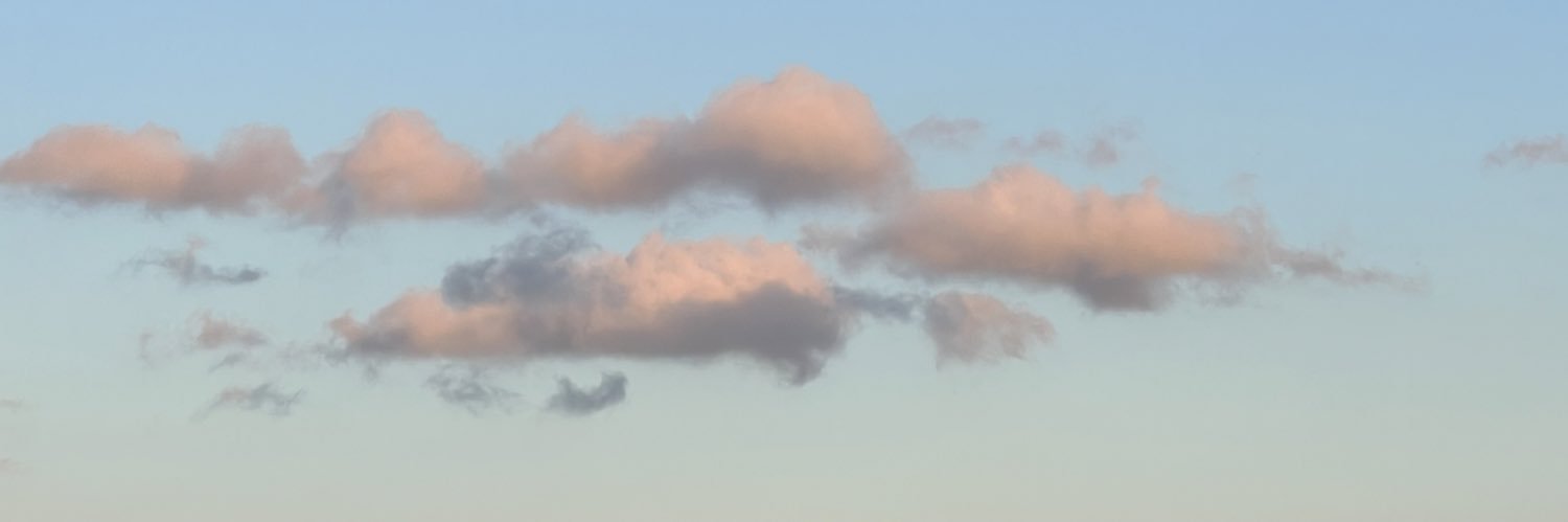 meg :) banner