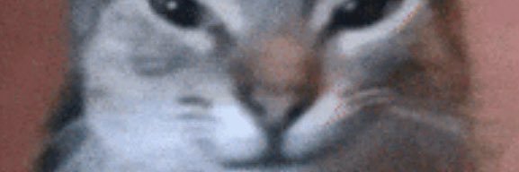Snifoudou banner