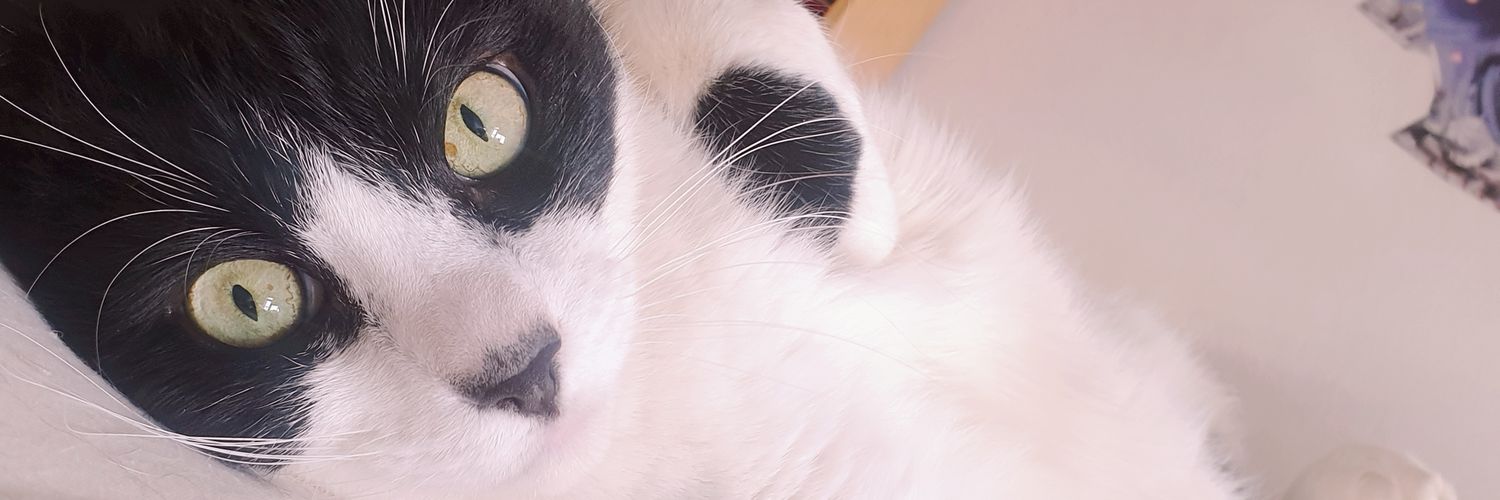 Sørine 🐱 banner