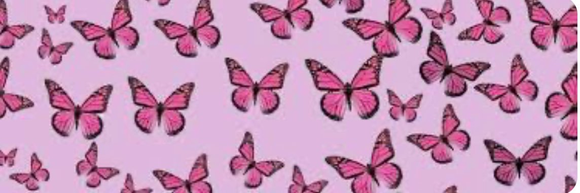 MarcellyMattos's profile banner image