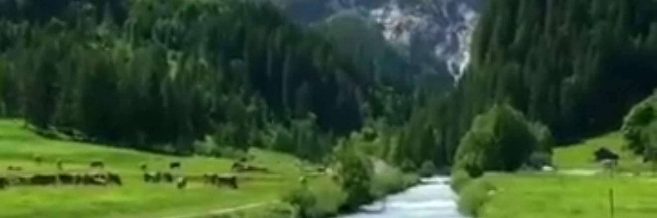 سعد لافي السعيدي banner