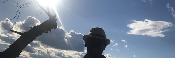 bis79marck Profile Banner