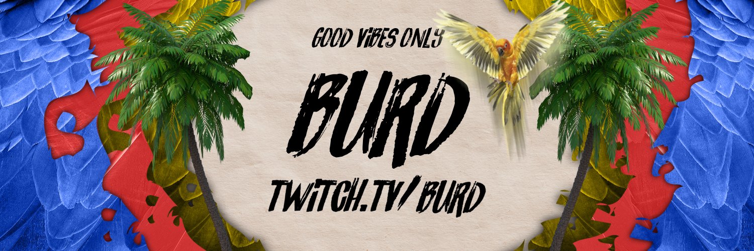 Burd 🐦 banner