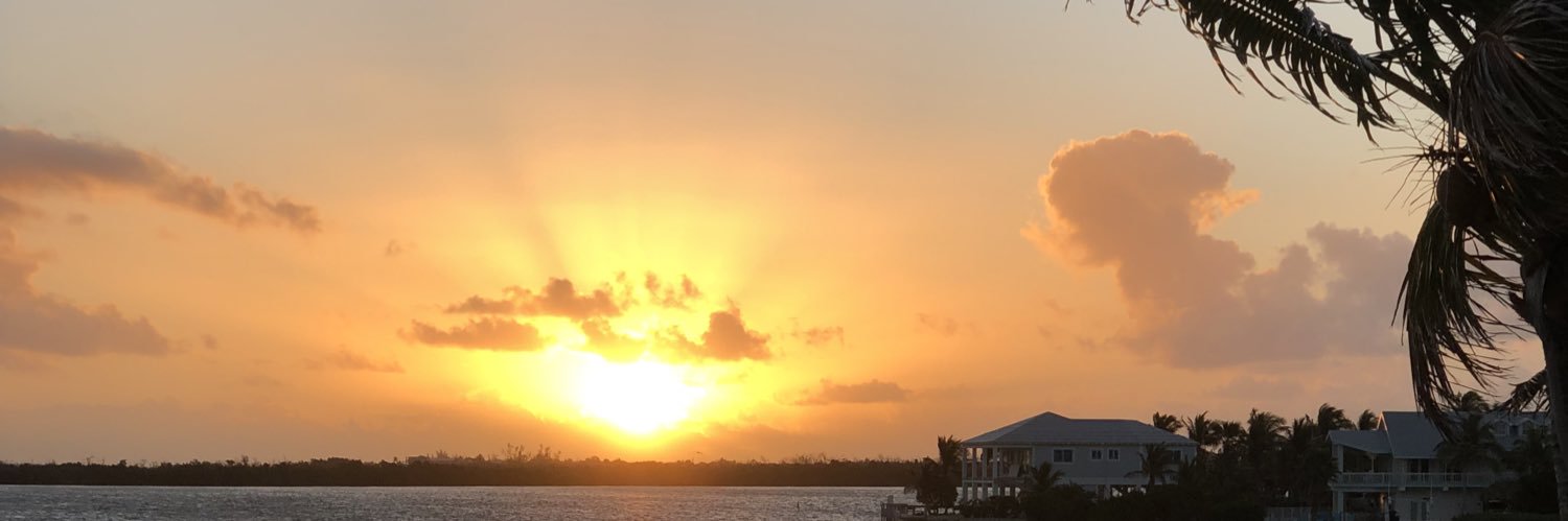 Mary Lou Condike banner