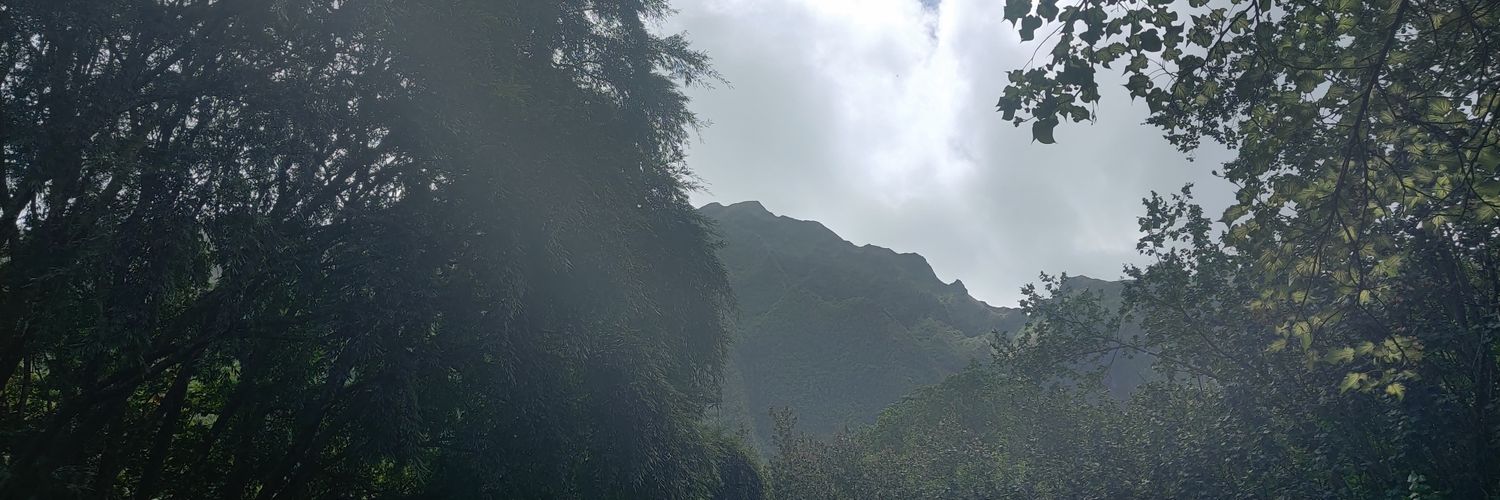 van_ek25's profile banner image