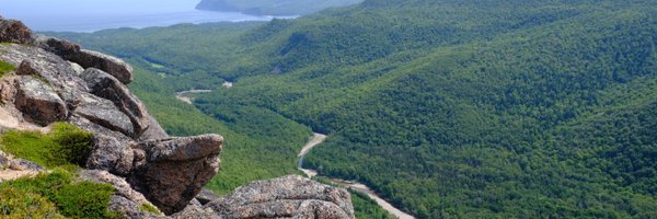 sarah_burm Profile Banner