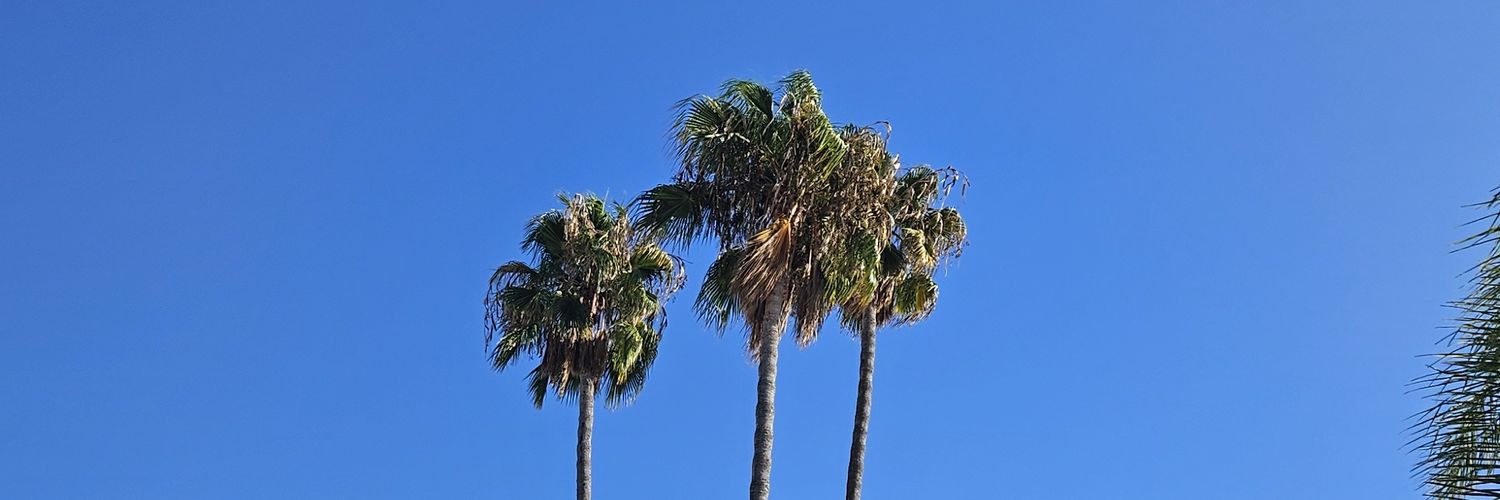 Omar Vásquez Lima banner