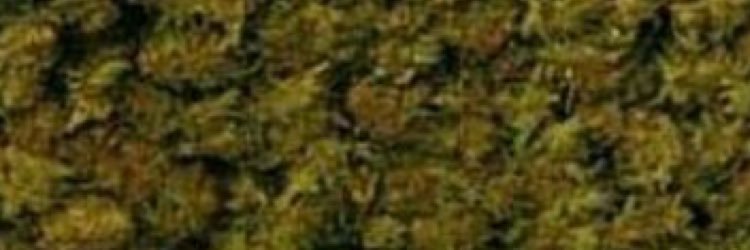 IAMDRTMRDRR's profile banner image