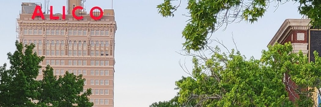 taminutt's profile banner image