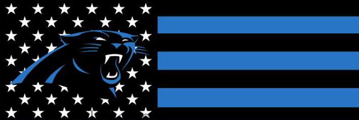 Did the Panthers win banner