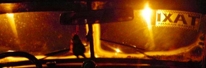 Roberto Pizzato banner