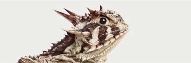 TCU Recruiting banner