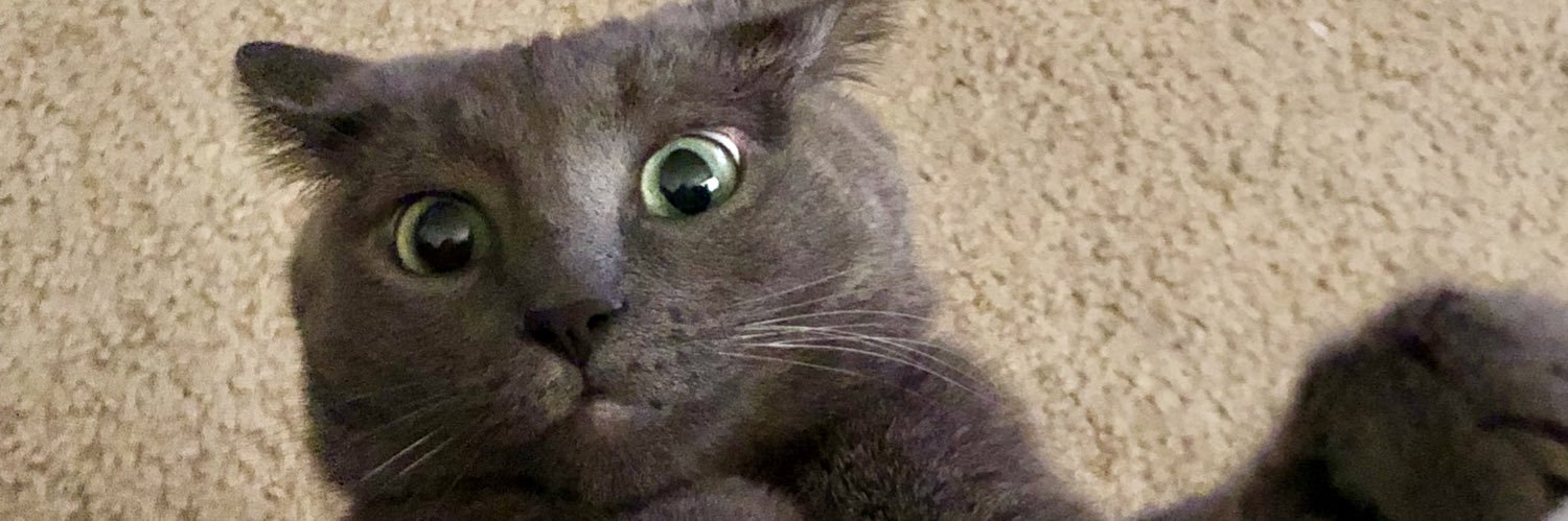 Azure Rebel with Paws banner