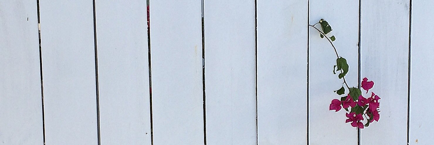 goseabrook's profile banner image
