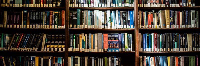 Second Cousin of Dragons, 19th of his name banner