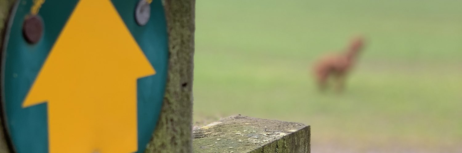 stuartyates's profile banner image