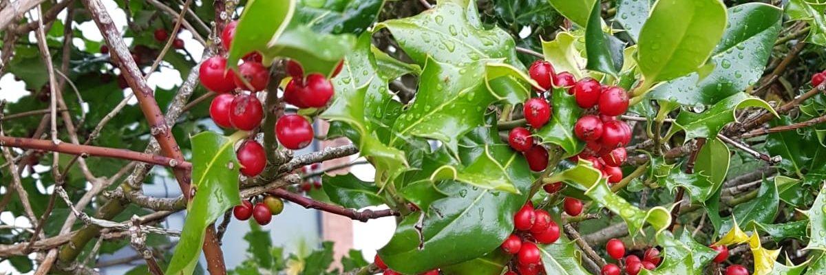 ManInChester's profile banner image