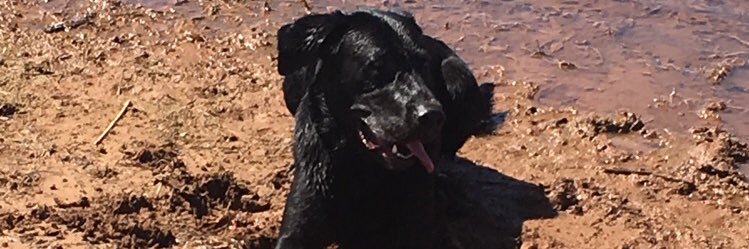 CSchneider_2's profile banner image