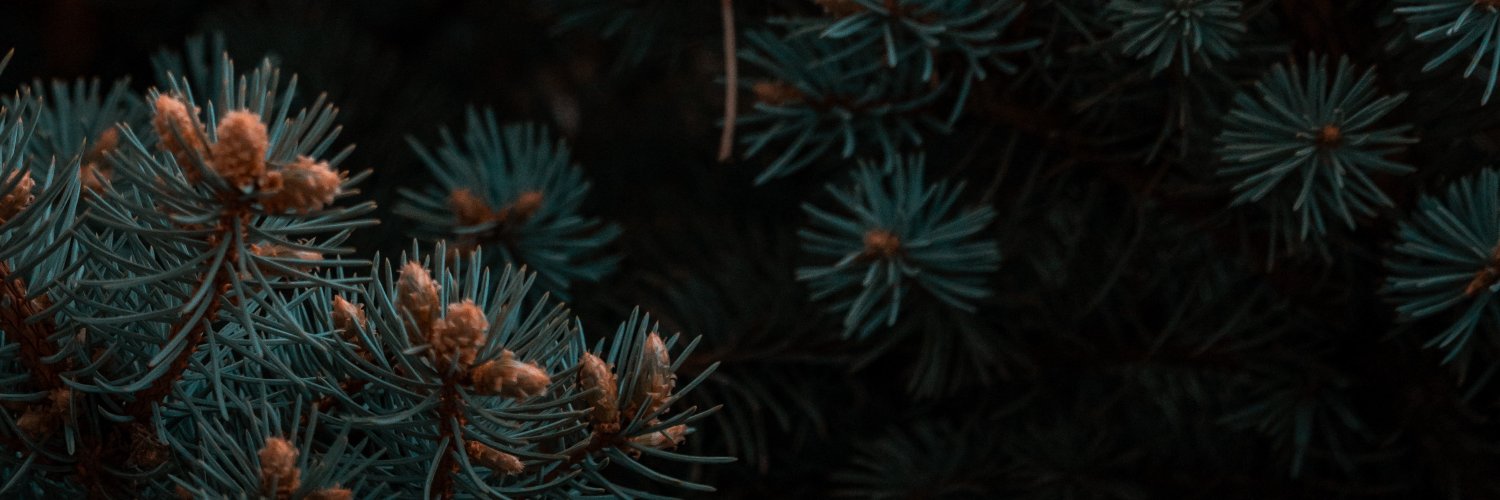 Northumbrian Botanicals banner