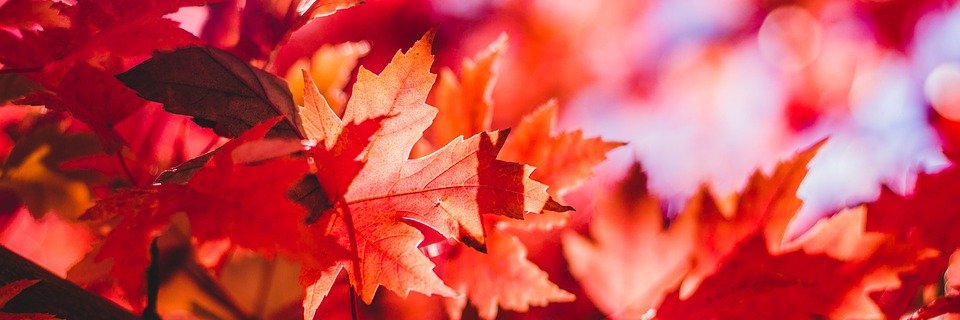 Paper and Pencil banner