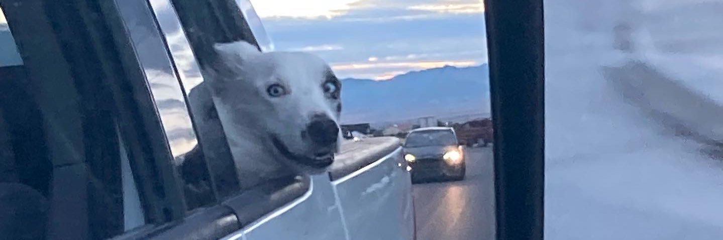 sierrawiseee's profile banner image