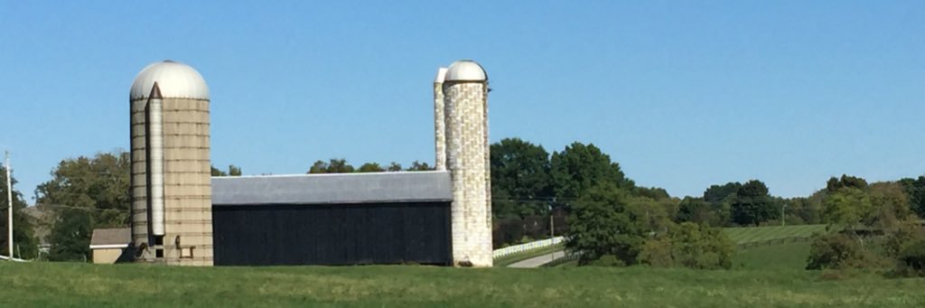 Marianne Smith Edge banner