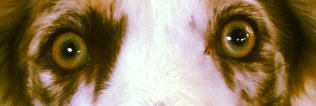 missythangs's profile banner image