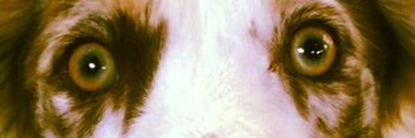 missythangs Profile Banner