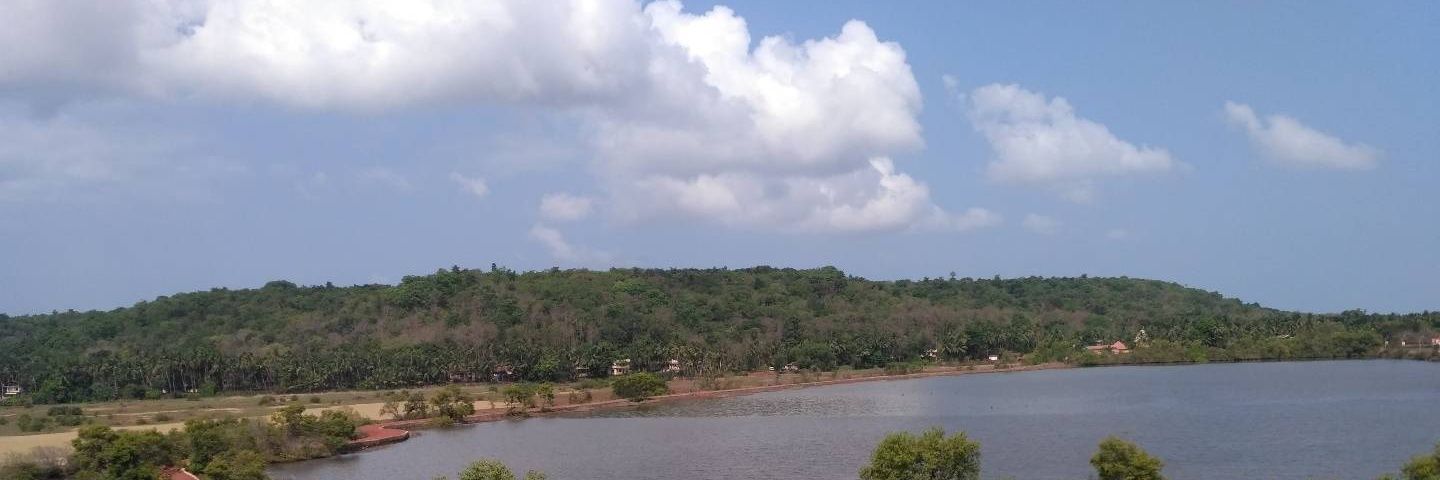 subodhdangwal's profile banner image