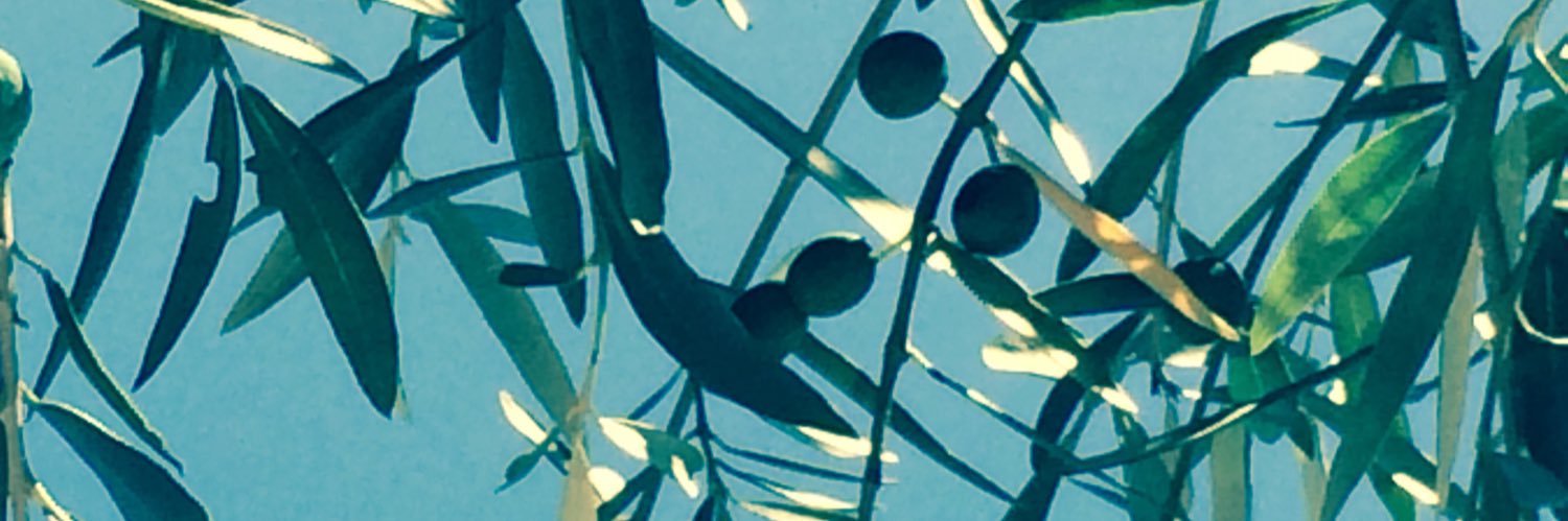 Bernard Giroud banner