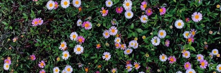 madebydevo's profile banner image