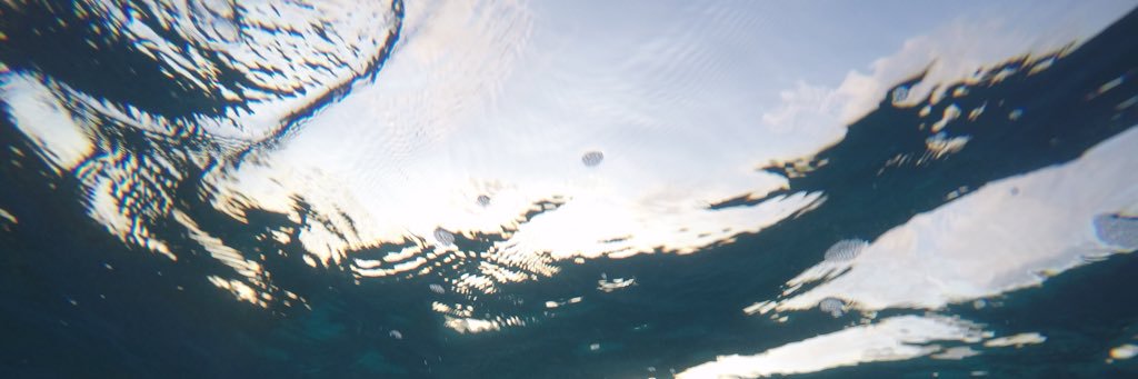 Nelli Bubujanca banner