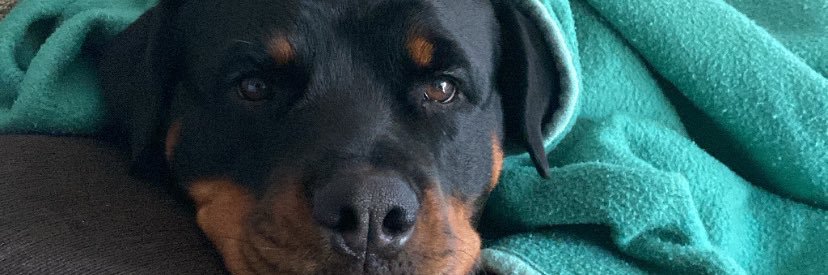 malfari0__'s profile banner image