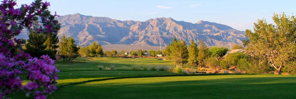 AlianteGolf's profile banner image