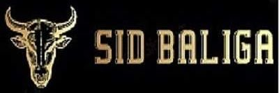 siddbaliga's profile banner image