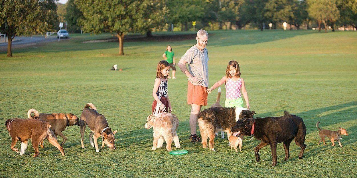 Austin Dog Parks banner