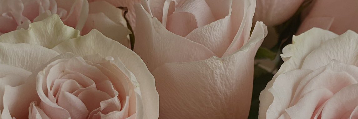 LameesHumaid's profile banner image