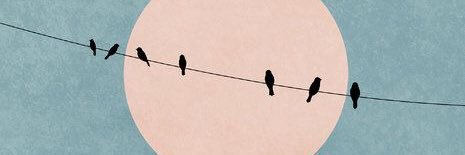 SaraGuio16's profile banner image