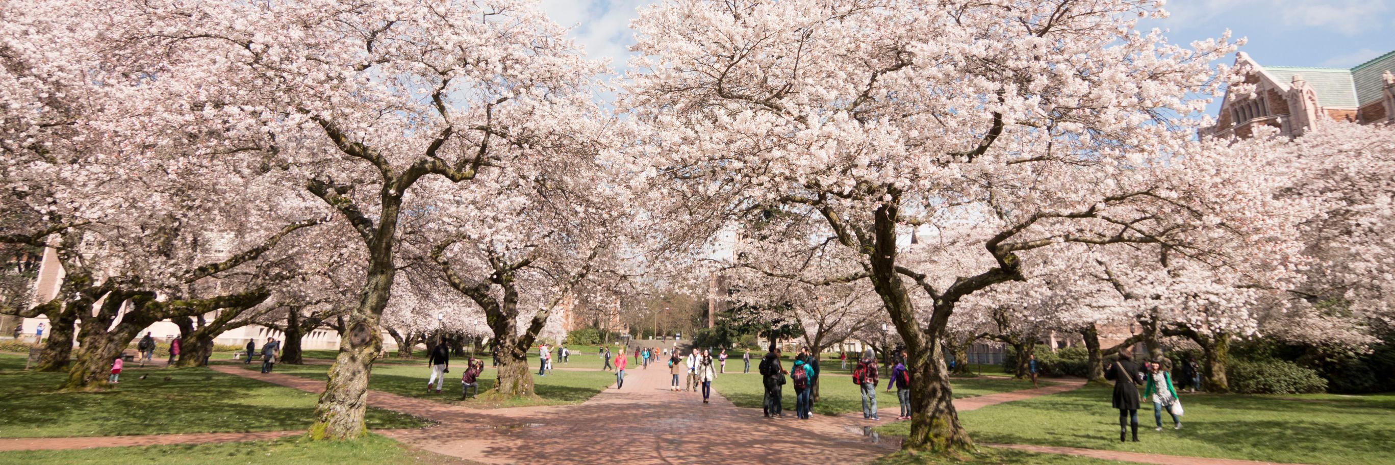 NWCOHS's profile banner image